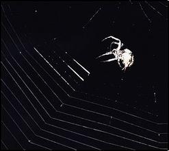 �����޾�ͷ��������Ƶ�����ǿ���콫���������߲��������...